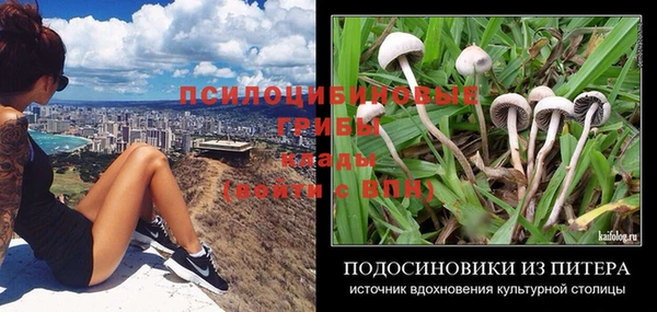 ПСИЛОЦИБИНОВЫЕ ГРИБЫ Зеленокумск