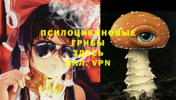 ПСИЛОЦИБИНОВЫЕ ГРИБЫ Зеленокумск