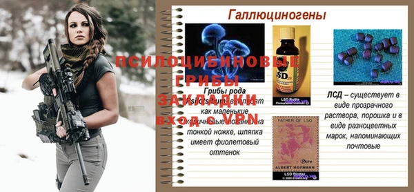 ПСИЛОЦИБИНОВЫЕ ГРИБЫ Зеленокумск