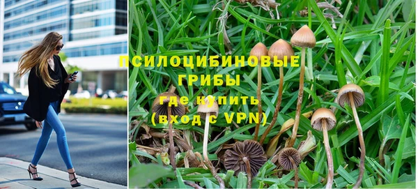 ALPHA PVP Иннополис
