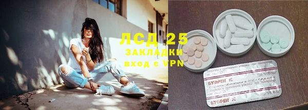 ПСИЛОЦИБИНОВЫЕ ГРИБЫ Зеленокумск